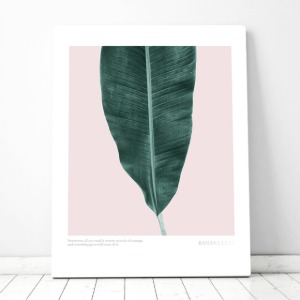BANANA LEAF No1 북유럽풍 플라워 인테리어 식물 사진 그림 액자 100 x 73 cm