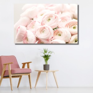 라넌큘러스 꽃 와이드 풍경 사진 그림 액자 73 x 46 cm