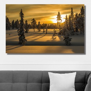 노을진 겨울나무 와이드 풍경 사진 그림 액자 73 x 46 cm