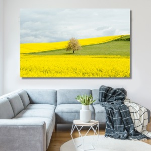 나무 한 그루 와이드 풍경 사진 그림 액자 100 x 63 cm