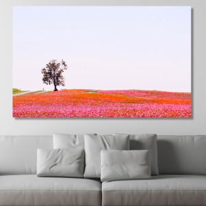 핑크빛 나무 한 그루 와이드 풍경 사진 그림 액자 41 x 27 cm