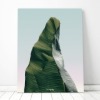 BANANA LEAF No3 북유럽풍 플라워 인테리어 식물 사진 그림 액자 100 x 73 cm