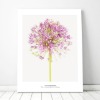 Allium ambassador No2 북유럽풍 플라워 인테리어 식물 사진 그림 액자 100 x 73 cm