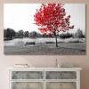 빨간 단풍 와이드 풍경 사진 그림 액자 100 x 63 cm