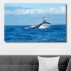 푸른 돌고래 와이드 풍경 사진 그림 액자 100 x 63 cm