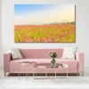 코스모스 밭 와이드 풍경 사진 그림 액자 73 x 46 cm